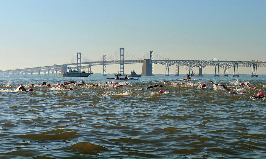 Great Chesapeake Bay Swim 1 Photograph by Dom J Manalo Fine Art America