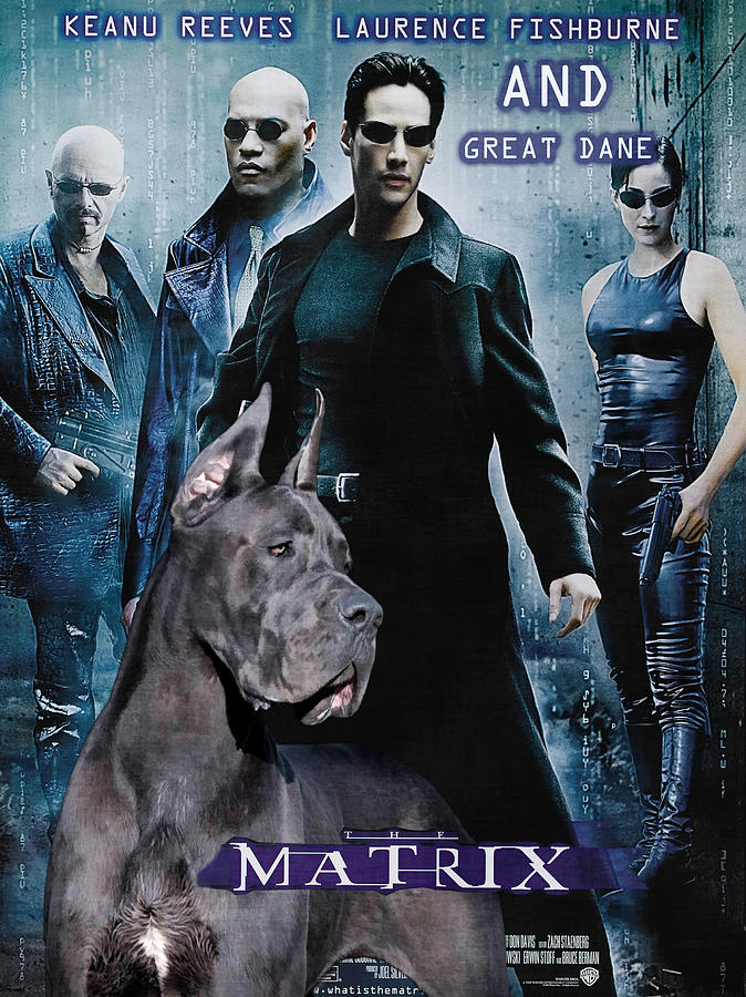Great Dane Art Canvas Print - Matrix Movie Poster Painting by Sandra Sij