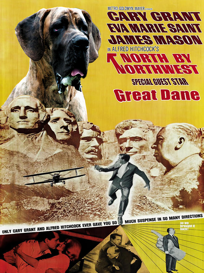 Great Dane Art Canvas Print - North By Northwest Movie Poster Painting by Sandra Sij