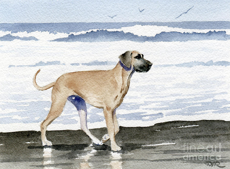 Beach Painting - Great Dane at the Beach by David Rogers