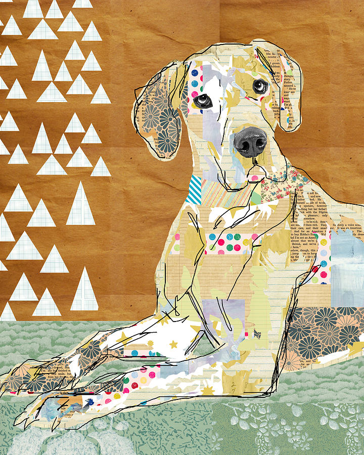Great Dane Collage Mixed Media by Claudia Schoen
