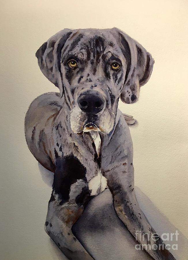 Great Dane by Kathy Flood Great Dane by Kathy Flood