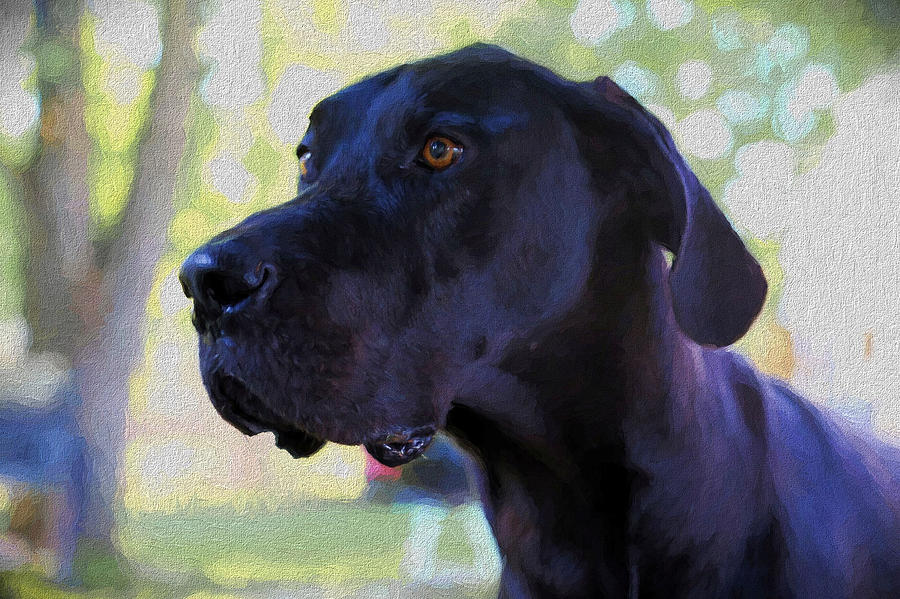 Great Dane Painting by Theresa Campbell