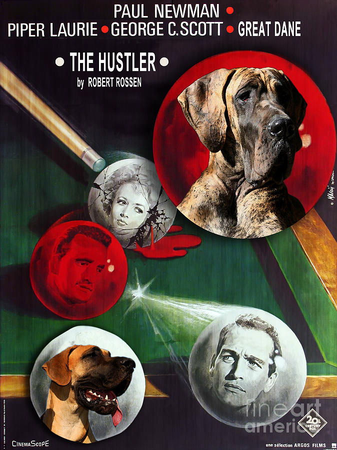 Great Dane Art Canvas Print - The Hustler Movie Poster Painting by Sandra Sij