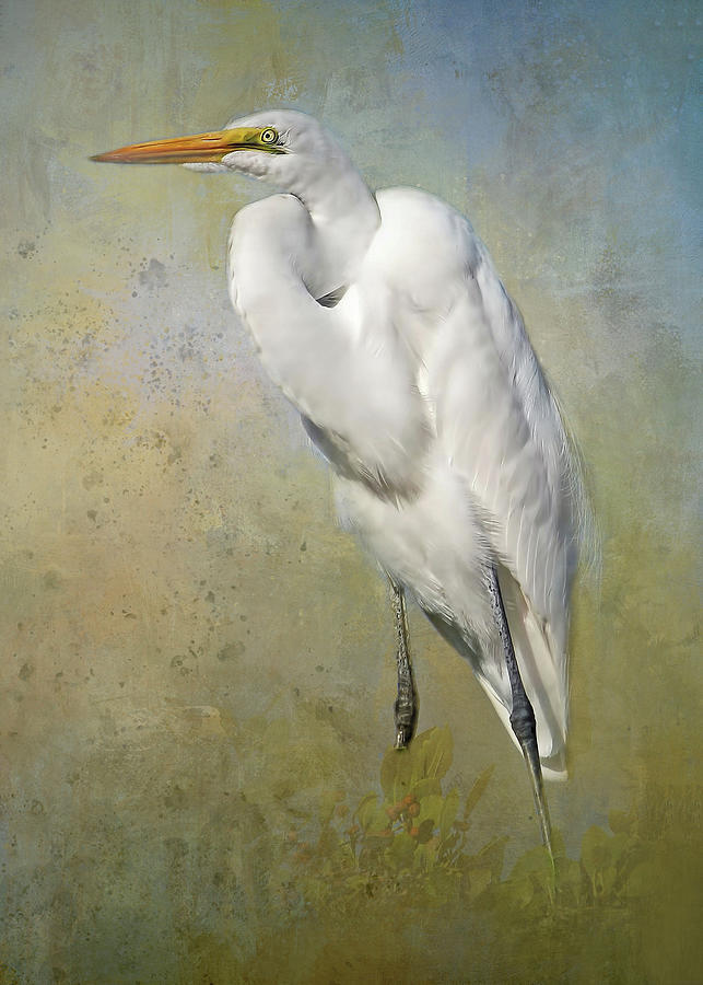 Great Egret Photograph by HH Photography of Florida