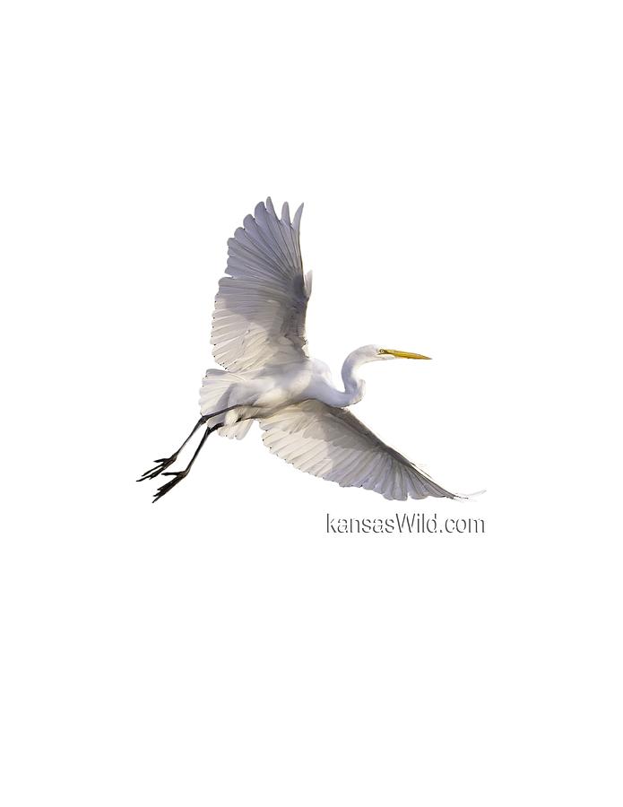 Great Egret kansasWild Photograph by Jeff Phillippi