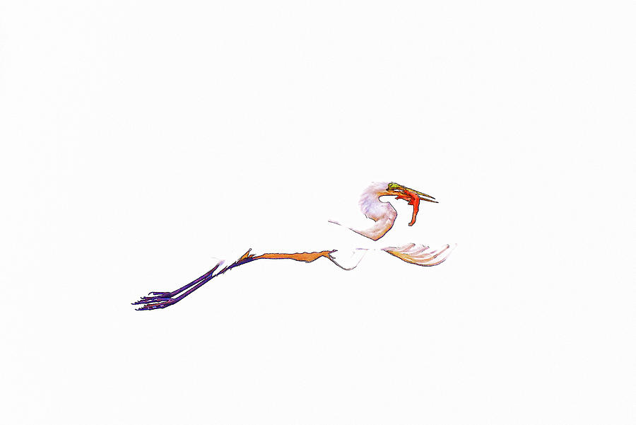 Great Egret Minimalism II Abstract Digital Art by Linda Brody