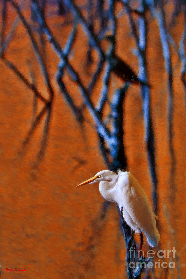Bird Photograph - Great Egret Orange Water by Blake Richards