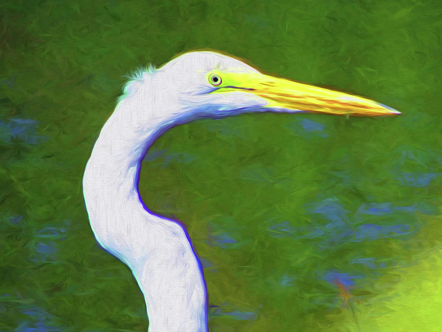 Great Egret Portrait Painting by A H Kuusela