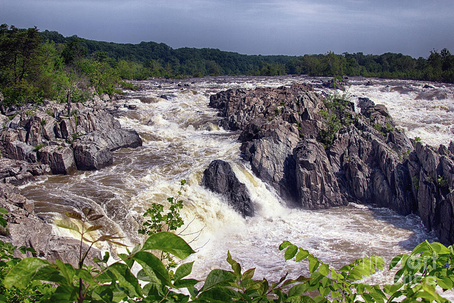 Nature Photograph - Great Falls On The Potomac by Tom Gari Gallery-Three-Photography