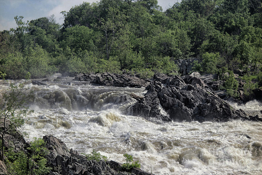 Nature Photograph - Great Falls  by Tom Gari Gallery-Three-Photography