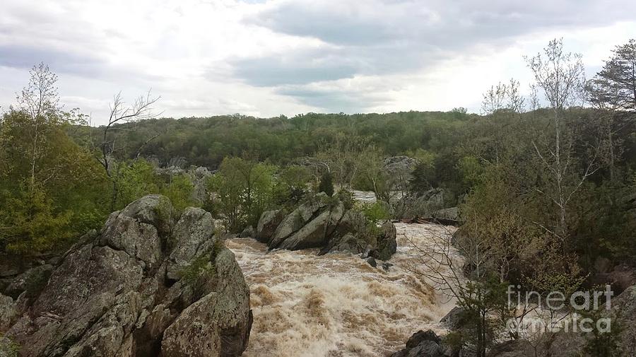 Nature Photograph - Great Falls Virginia by Charlotte Gray