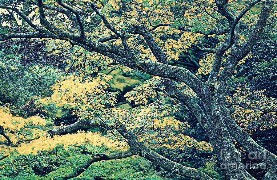 Great Forest of Kanagawa Photograph by Wernher Krutein