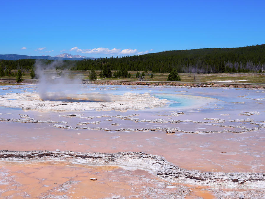 Great Fountain Geyser in Yellowstone National Park Photograph by Louise Heusinkveld