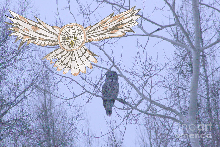 Winter Mixed Media - Great Gray Owl Together by Mary Mikawoz Winter Mixed Media - Great Gray Owl Together by Mary Mikawoz