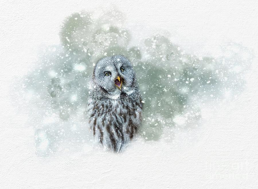 Great Grey Owl in Snowstorm Photograph by Eva Lechner