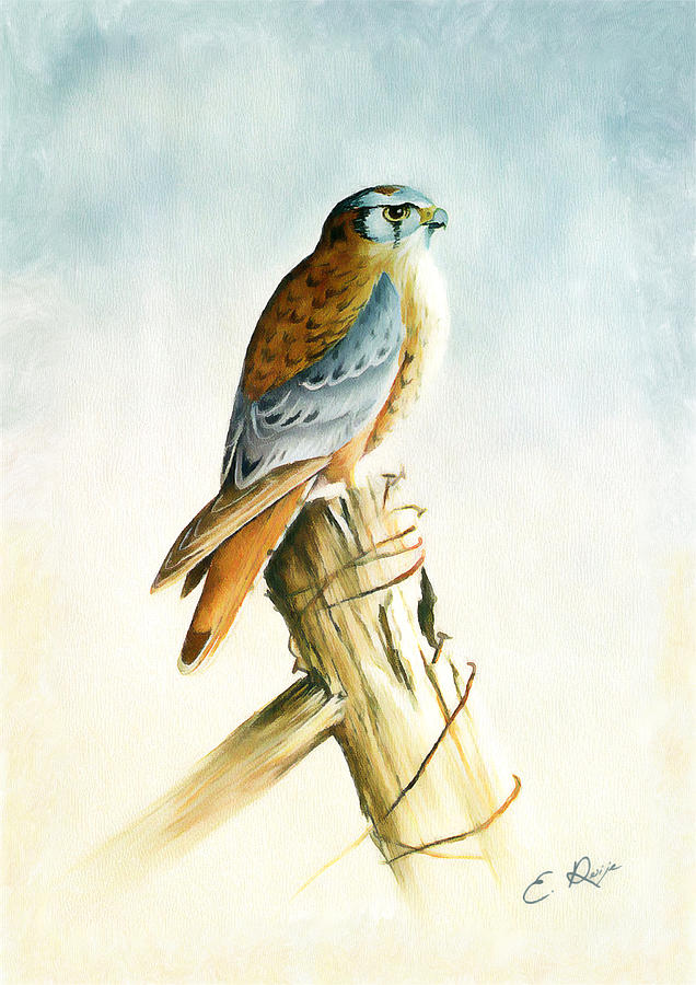 Great Hawk Painting by Ellens Art - Fine Art America