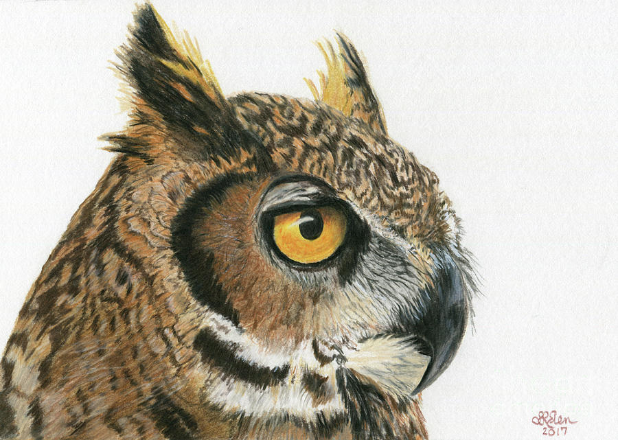 Great Horned Owl 1 Drawing by Sheryl Elen - Fine Art America