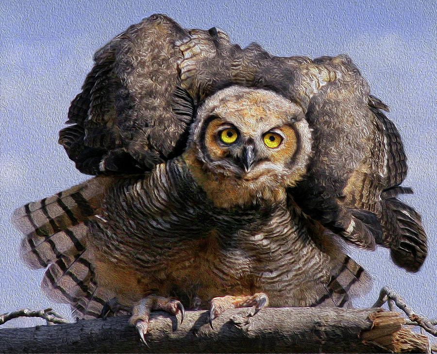 Great Horned Owl Photograph by Art Cole