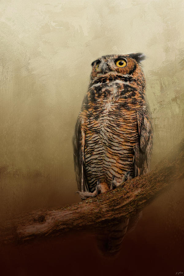 Owl Photograph - Great Horned Owl At Shiloh by Jai Johnson