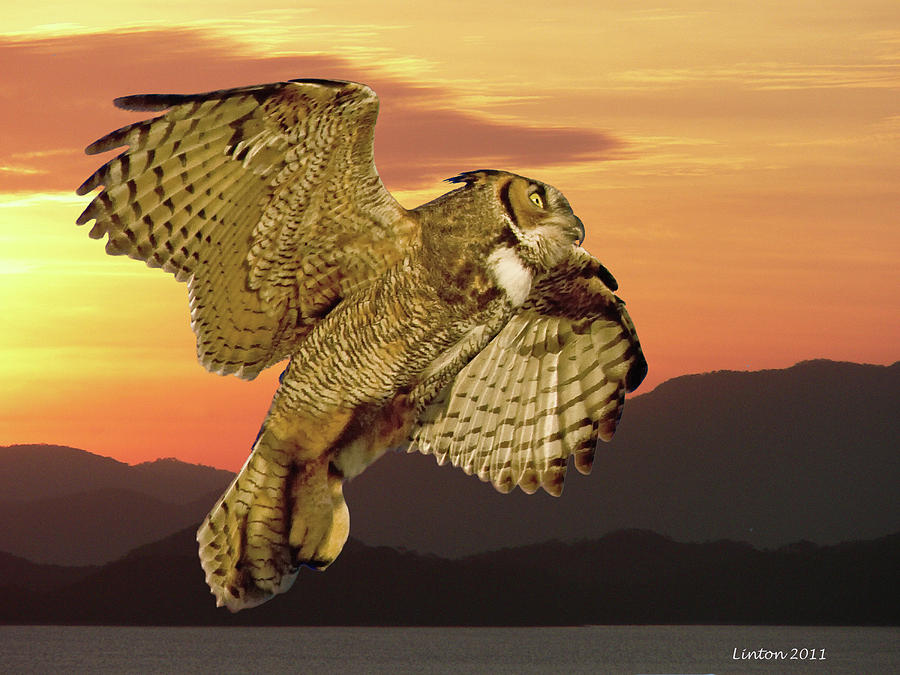 Great Horned Owl At Sunrise Photograph by Larry Linton