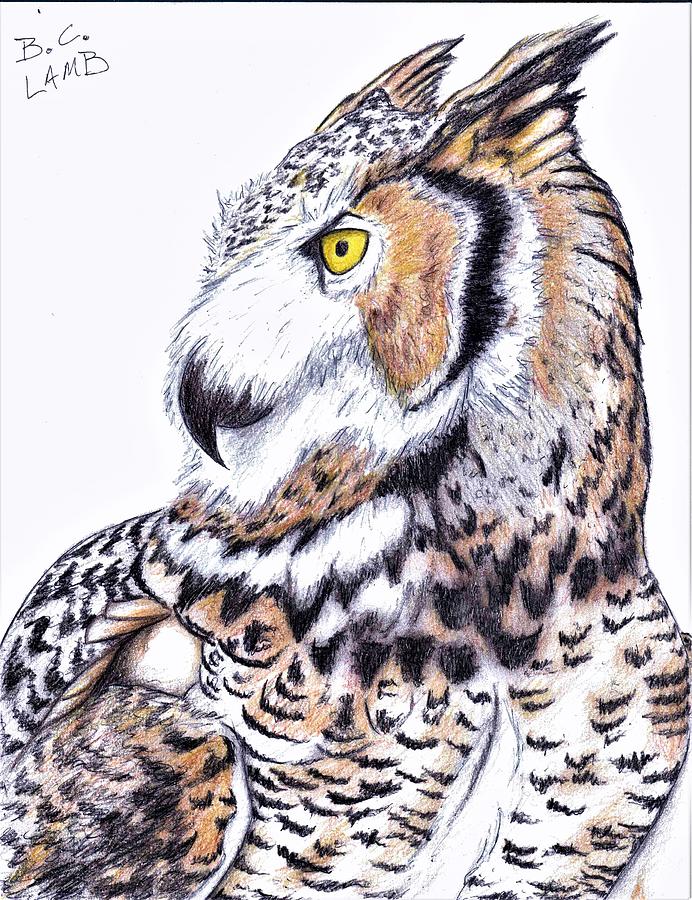 Great Horned Owl Drawing by Bryant Lamb Fine Art America