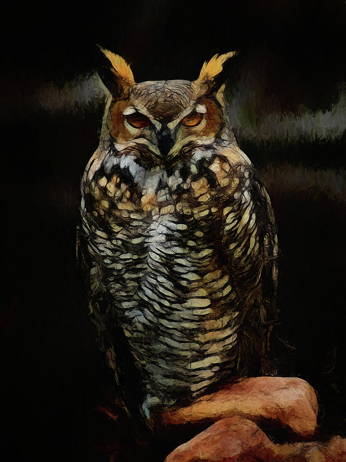 Great Horned Owl DA Digital Art by Ernest Echols