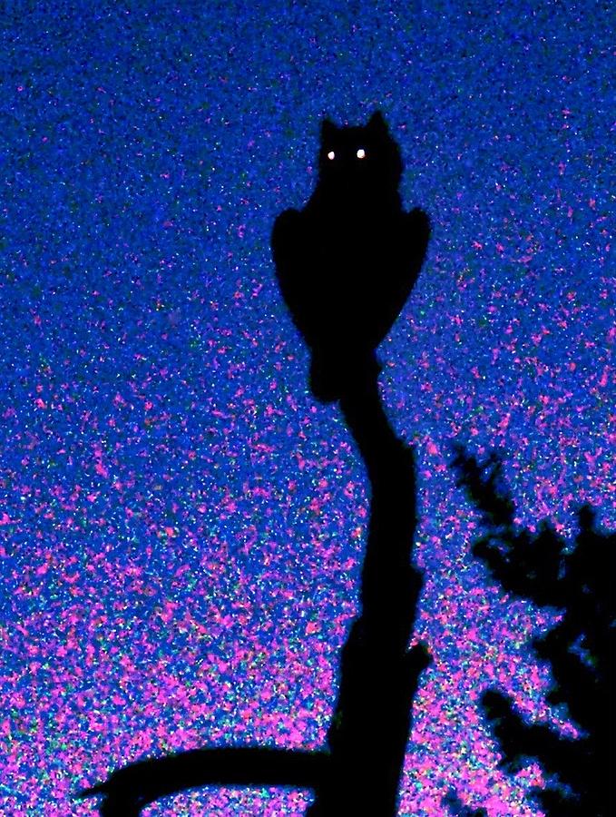 Great Horned Owl in the Desert Photograph by Judy Kennedy