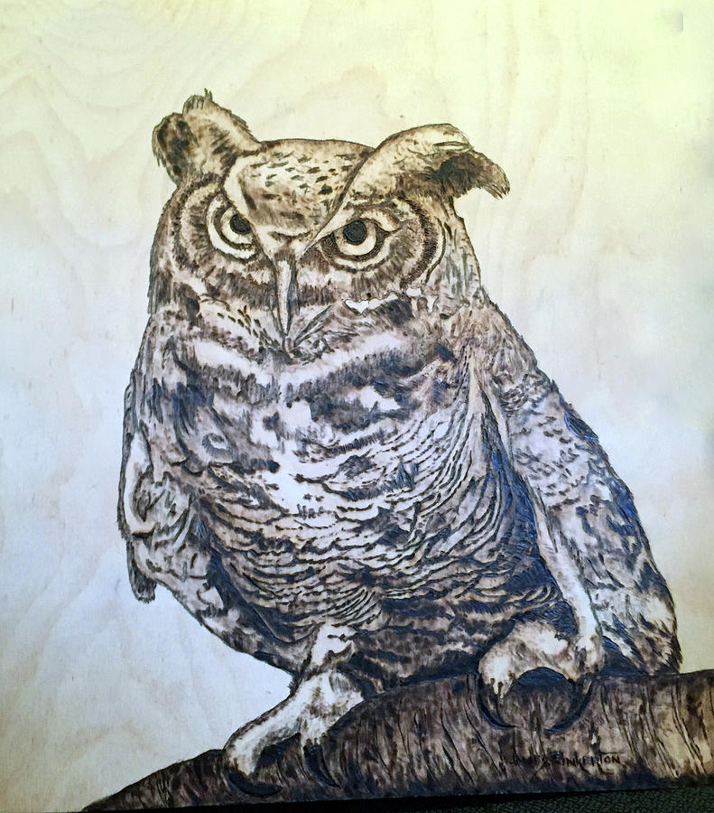 Great Horned Owl Pyrography by James Pinkerton - Fine Art America