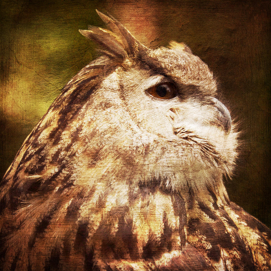 Great Horned Owl Painting Effect Digital Art by Hermes Fine Art