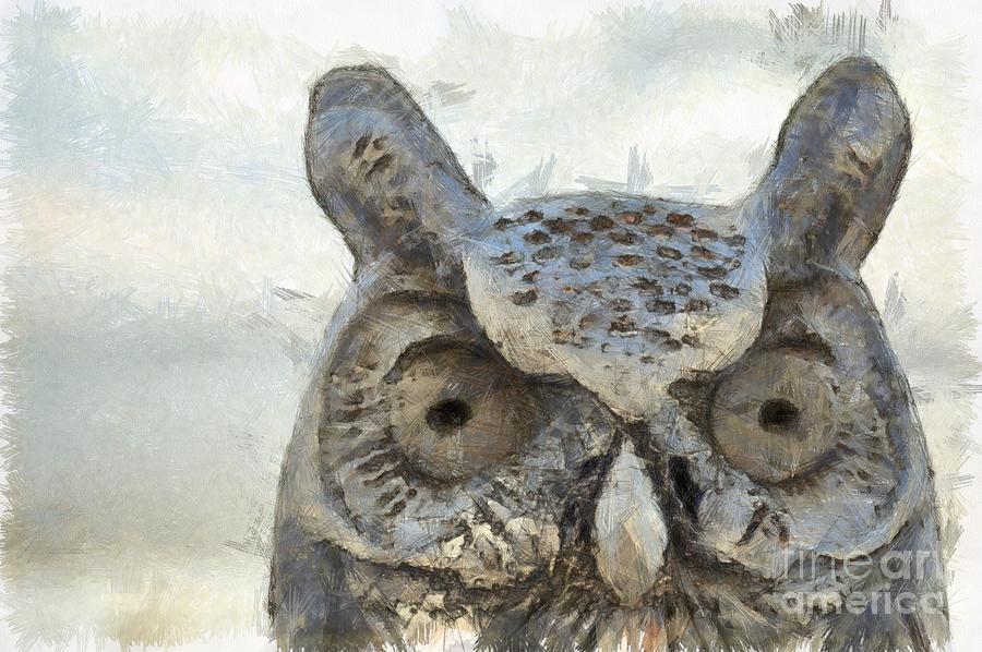 Great Horned Owl Pencil Photograph by Edward Fielding
