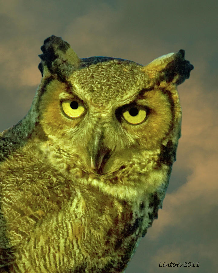 Great Horned Owl Portrait Photograph by Larry Linton