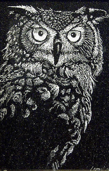 Great Horned Owl Drawing by Ric Larson - Fine Art America