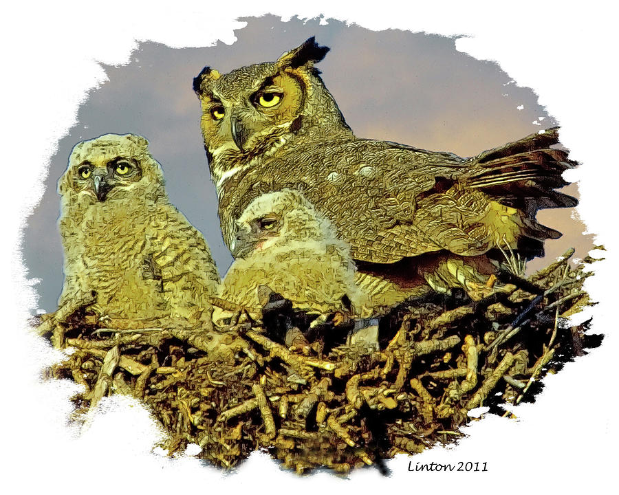 Great Horned Owls Digital Art by Larry Linton