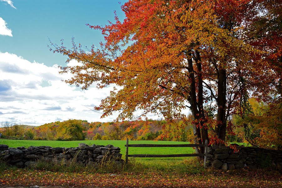 Fall Photograph - Great Meadowbrook Farm Foliage by Mike Martin
