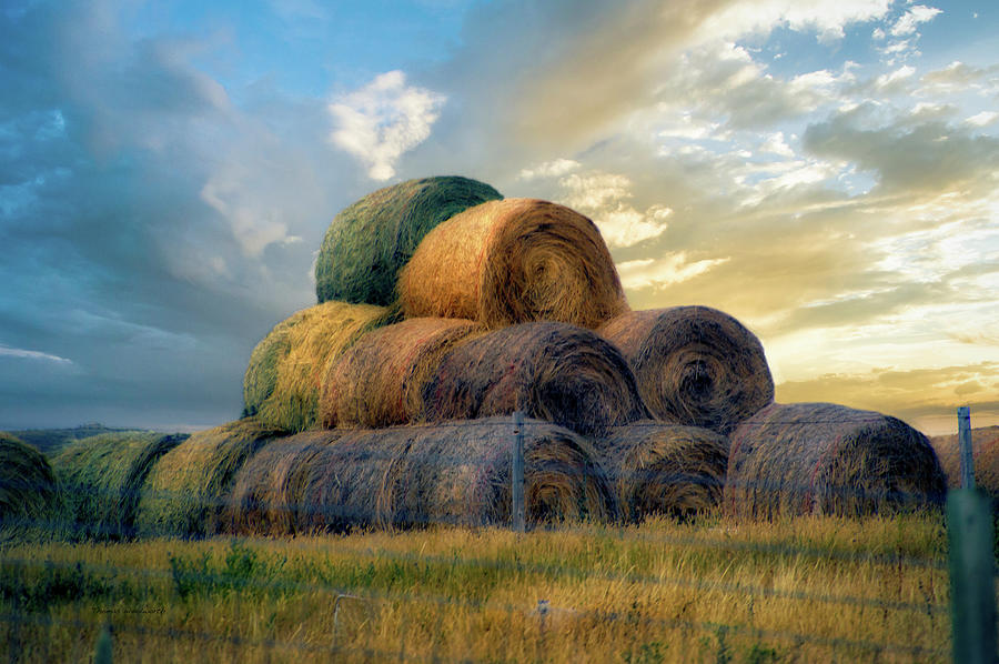 Great Plains Farming Hayrolls 13 Photograph by Thomas Woolworth