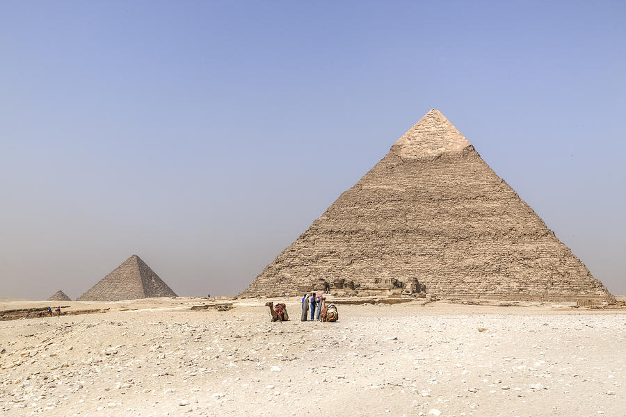 Camel Photograph - Great Pyramids of Giza - Egypt by Joana Kruse