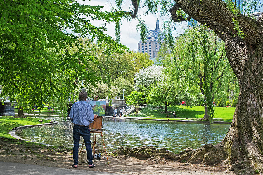 Great Rendition of the Boston Public Garden Photograph by Toby McGuire