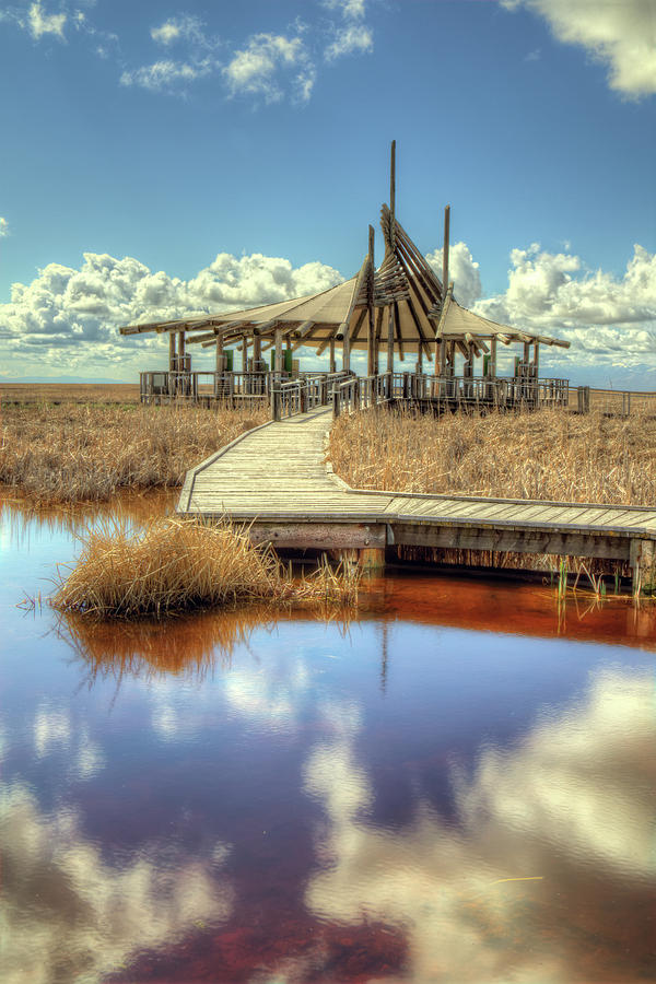 Great Salt Lake Shorelands Preserve Photograph by Joan Escala-Usarralde