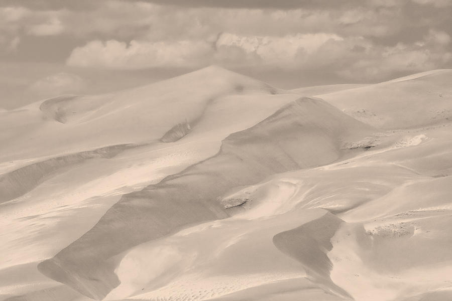 Great Sand Dunes  - In Sepia Photograph by James BO Insogna