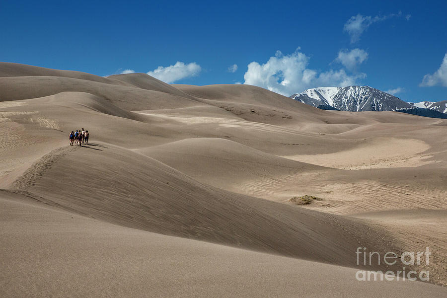 Great Sand Dunes 4 Photograph by Timothy Hacker