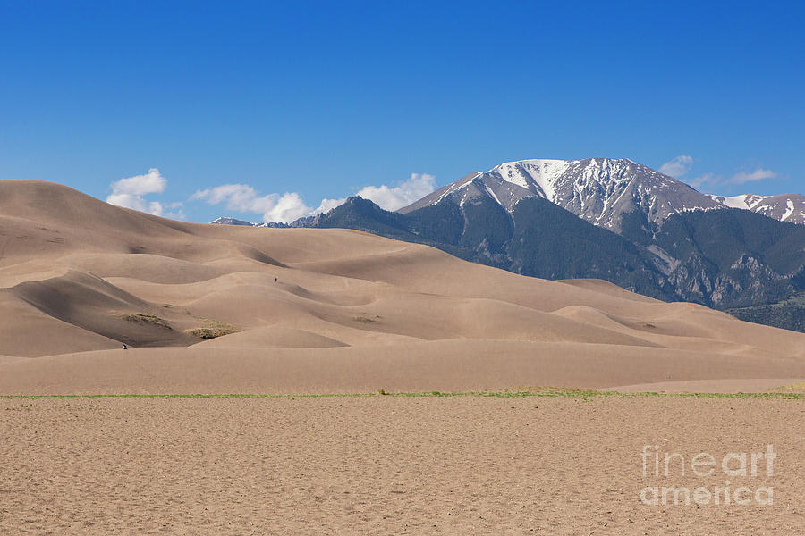 Great Sand Dunes 5 Photograph by Timothy Hacker