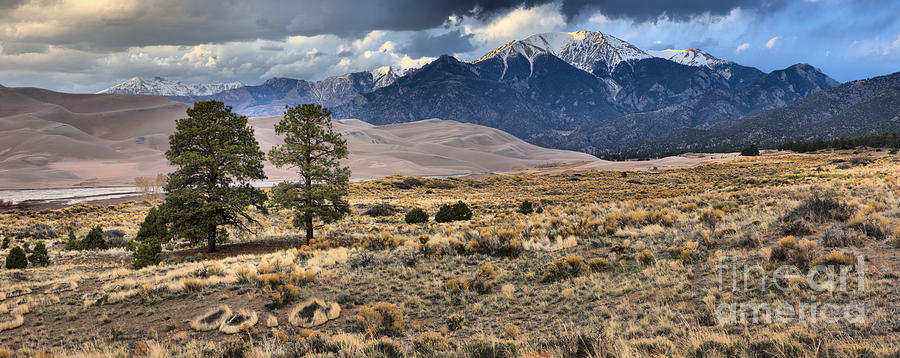 Great Sand Dunes Landscape Panorama Photograph by Adam Jewell