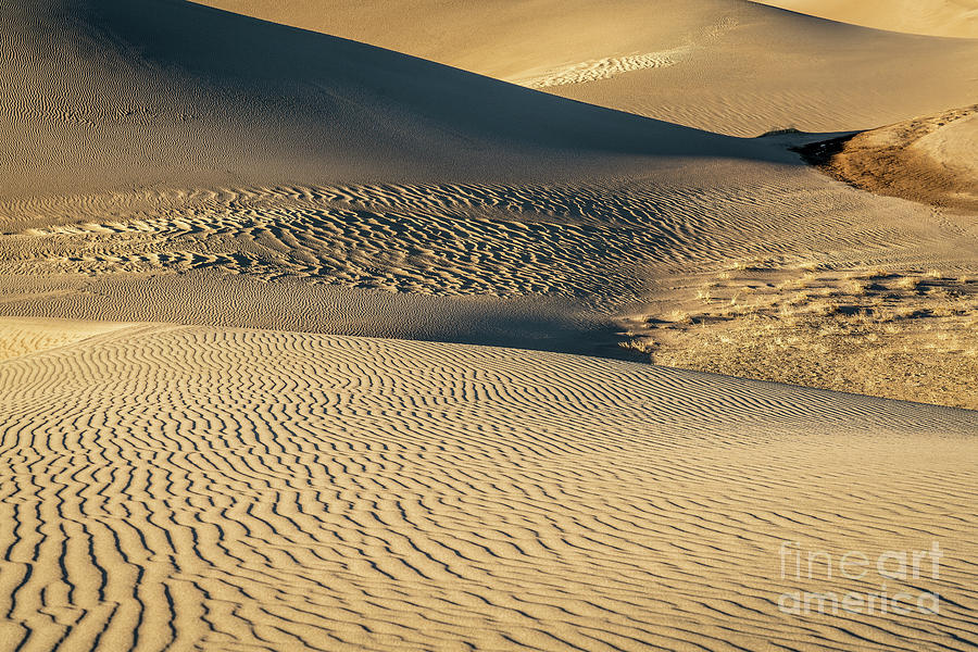 Great Sand Dunes National Park Photograph by Marek Uliasz
