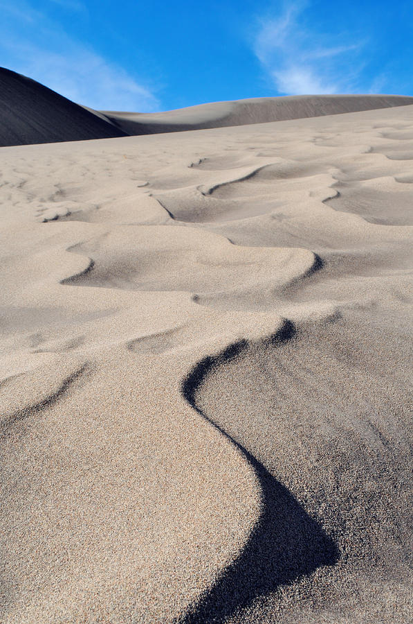 Great Sand Dunes National Park Portrait Photograph by Kyle Hanson