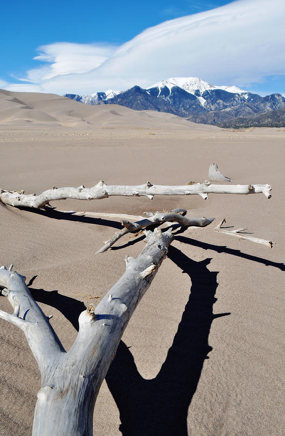 Great Sand Dunes National Park Shadows Photograph by Kyle Hanson
