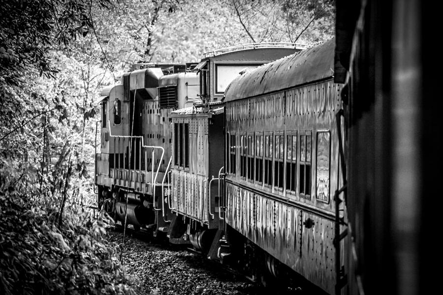Great Smokey Mountain Railroad Looking Out at the Train in Black and White Photograph by Kelly Hazel