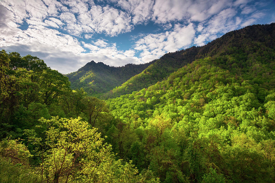 Great Smoky Mountains Gatlinburg TN Spring Scenic Landscape Photograph by Dave Allen