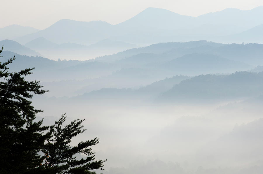 Great Smoky Mountains in Fog Photograph by Dean Pennala - Fine Art America