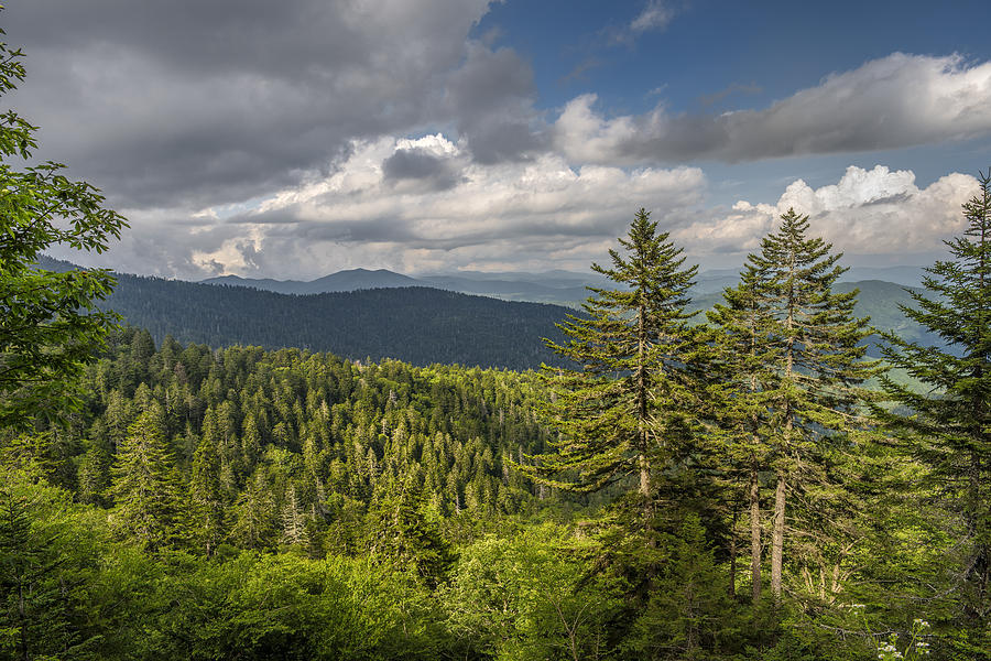 Great Smoky Mountains in the Appalachian Chain Photograph by Darrell Young